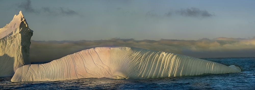 Antarctica-South Georgia Island-Coopers Bay Iceberg shaped like elephant seal at sunrise  art print by Jaynes Gallery for $57.95 CAD